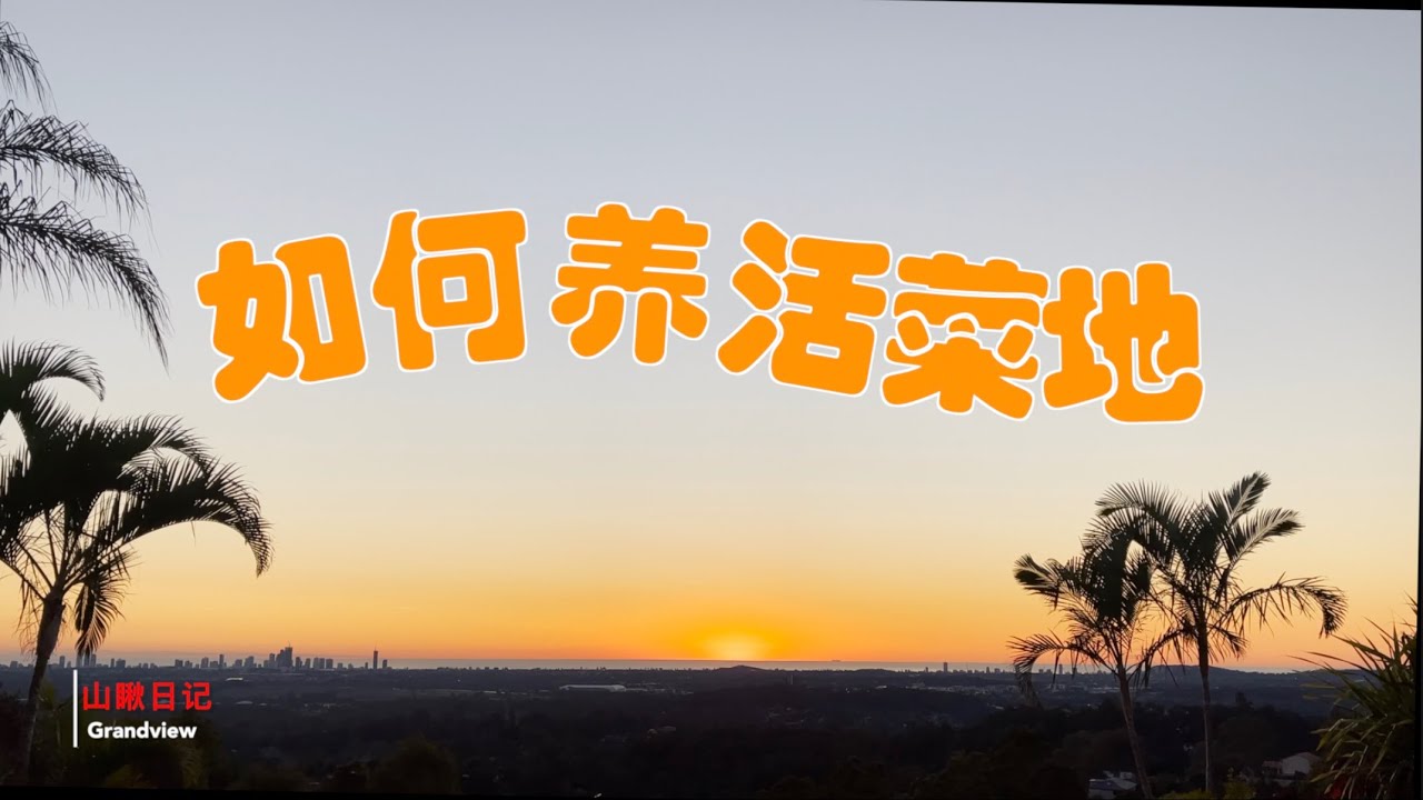 山瞅日记 38--- 如何养活菜地