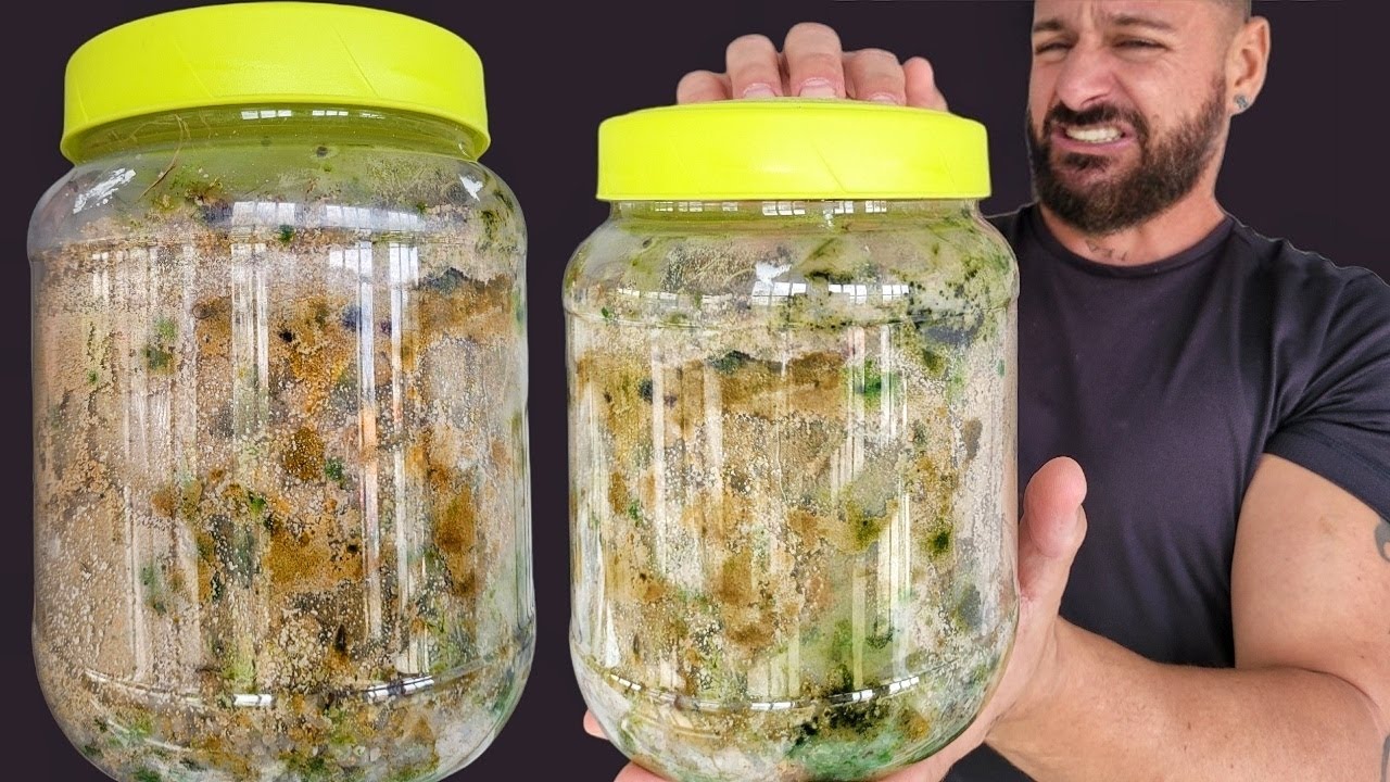 Abro un terrario que lleva 3 AÑOS cerrado 🤮 - Hormiguero casero de arena | El Mundo de las Hormigas