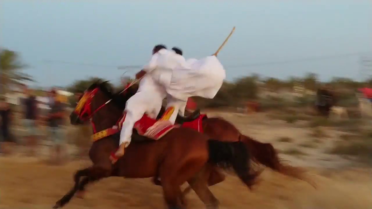 فنطازية في المقارسة عرس فارس 2019 Fantasia á Djerba Midoun ❤❤❤ أحلى شكري ماقوري و أحلى كريم بوجناح