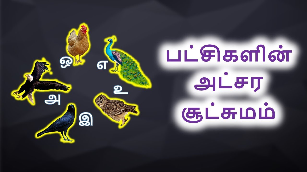 பஞ்ச பட்சிகளின் அட்சர சூட்சுமம் என்ன? - 16 | பஞ்சபட்சி சாஸ்திரம் | PanchaPatchi Sasthram 16