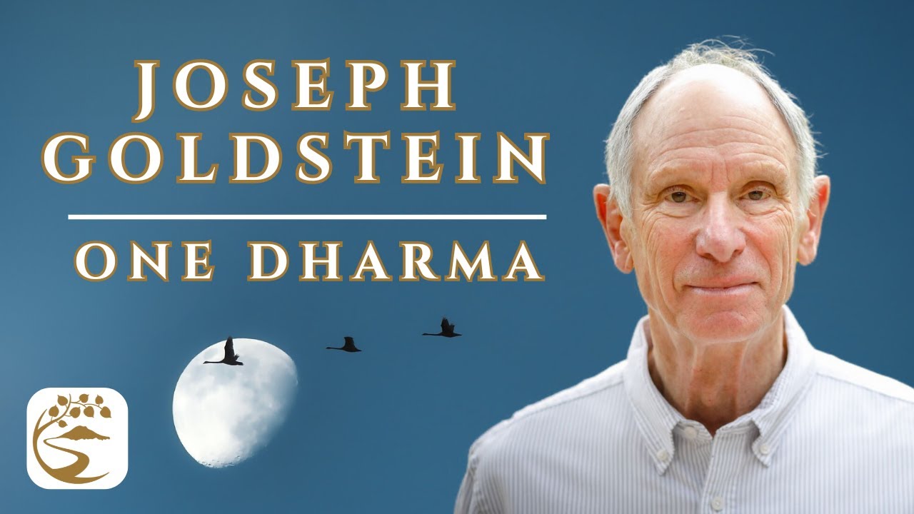 The Unborn & the Experience of Zero | Joseph Goldstein Q&A