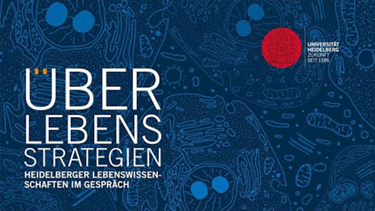 &Uuml;berlebensstrategien: Warum Diabetes mehr als Zucker ist