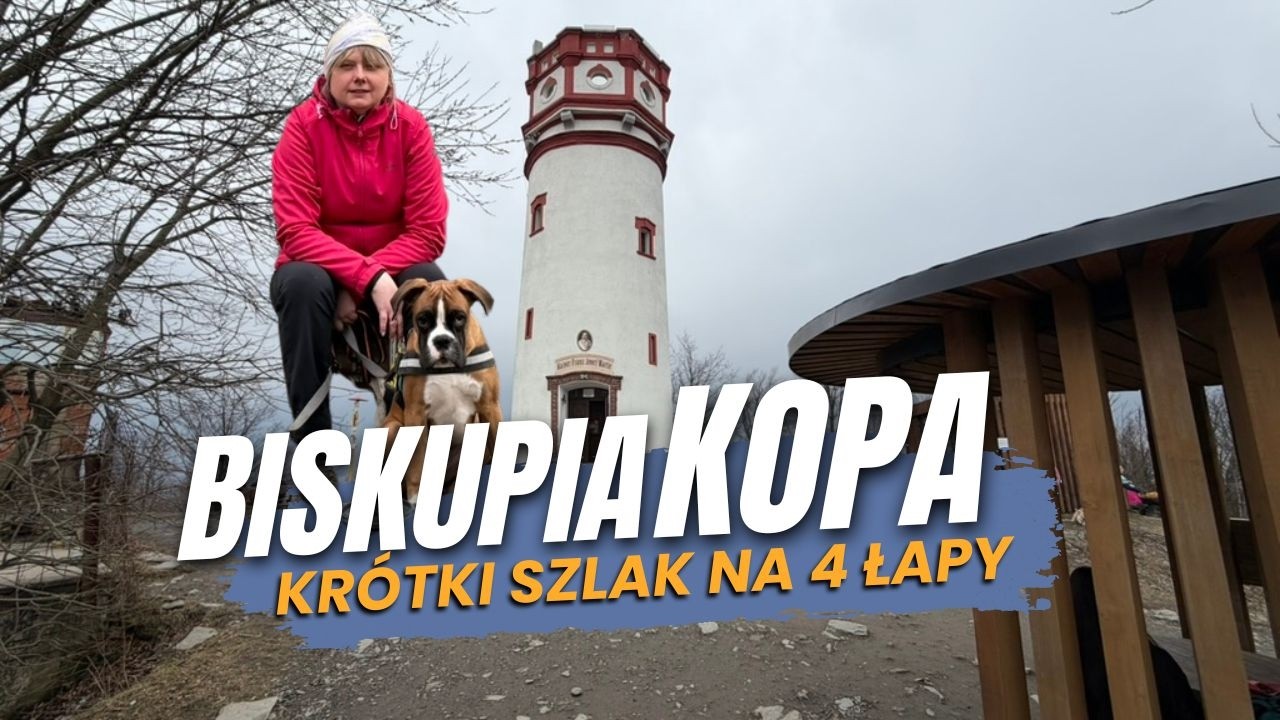 Zlaté Hory → Kopa Biskupia ⛰️ zielonym szlakiem do wieży widokowej 🌲🥾