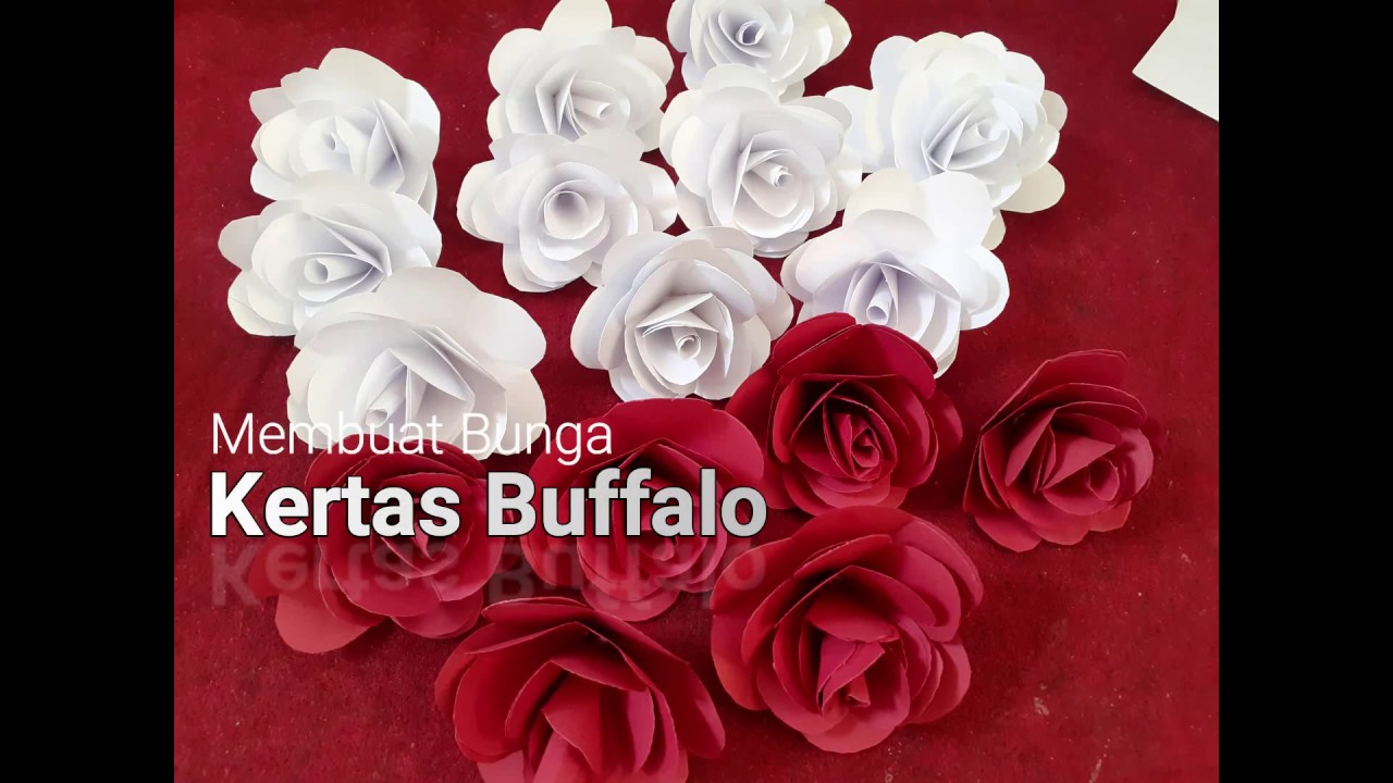 MEMBUAT BUNGA MAWAR DARI KERTAS BUFFALO & HVS