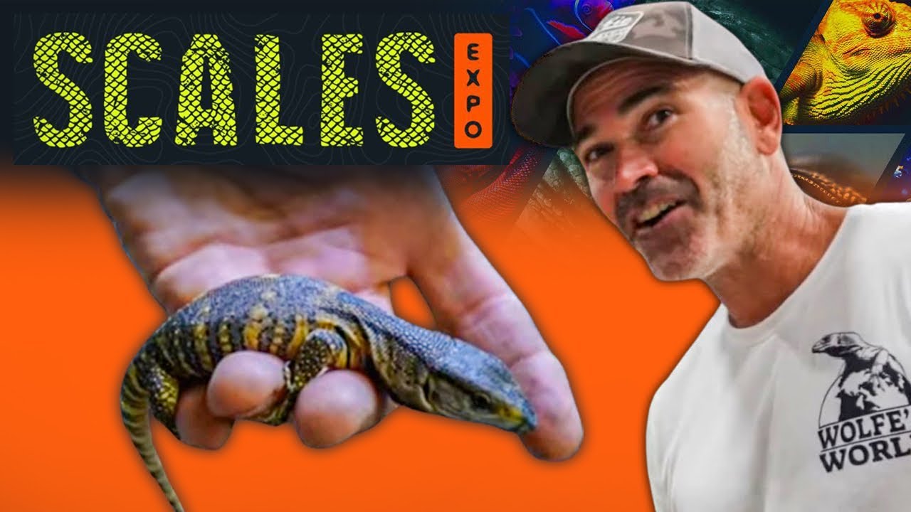 The 1st SCALES EXPO in West Palm Beach, Florida!