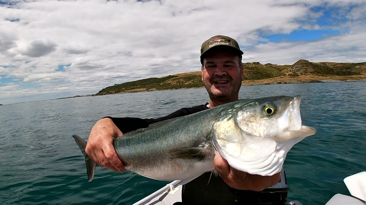 NZ SOUTHLAND BLUFF
