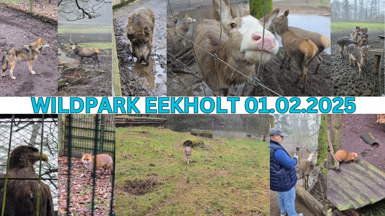 Unser Besuch im Wildpark Eekholt am 01.02.2025 - Der kleine Rundweg