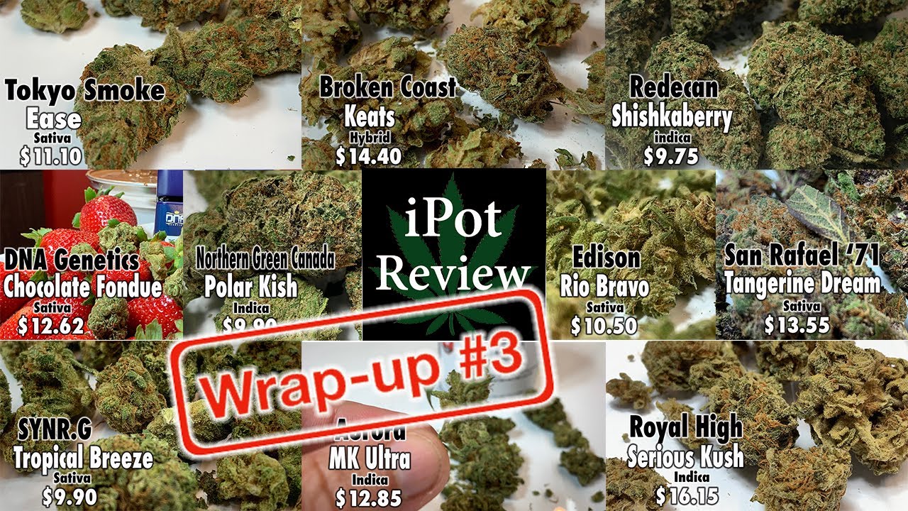 Top Canadian Pot Strains Reviewed Again!! Episode 3