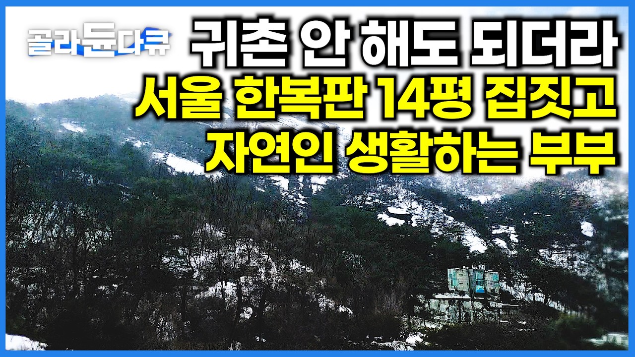 서울에서 귀촌 라이프 가능하다고? 서울 도심에서 14평짜리 자연인처럼 건강하게 참 잘 사는 부부｜건축탐구 집｜#골라듄다큐