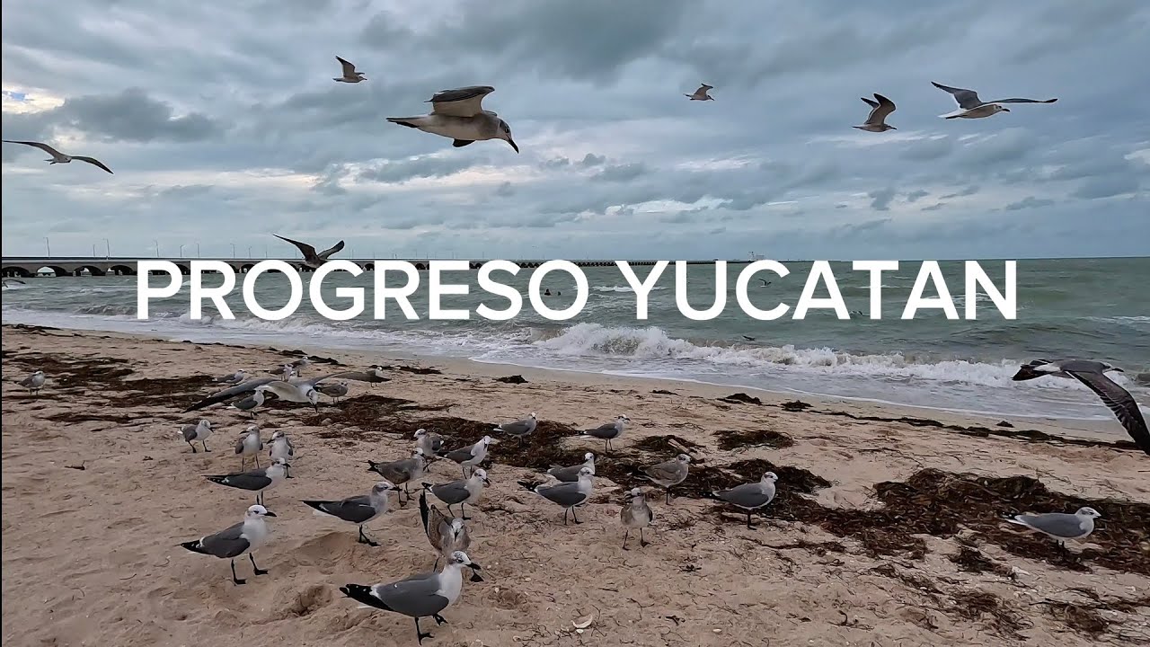 PROGRESO YUCATAN 