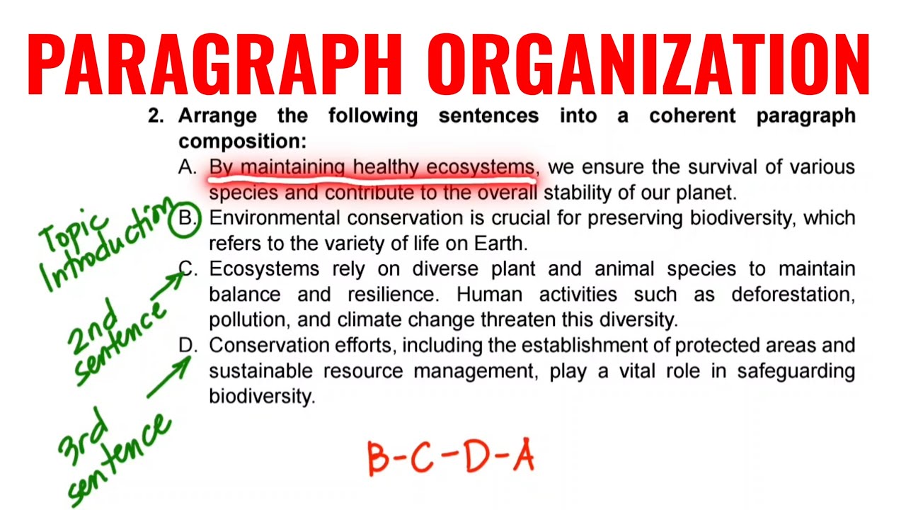 Paragraph Organization (Practice Test)