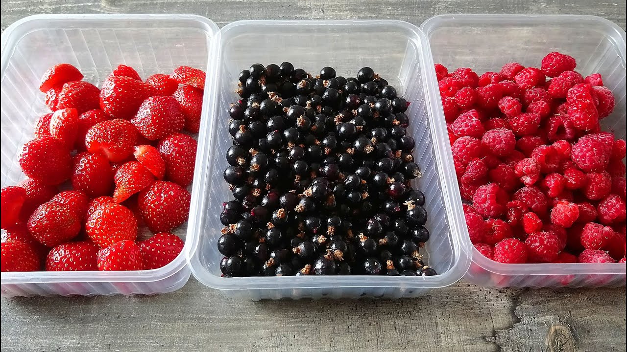 Заморозка ягод на зиму | Очечь хороший способ заготовить ягоду | Freeze the berries | La Marin