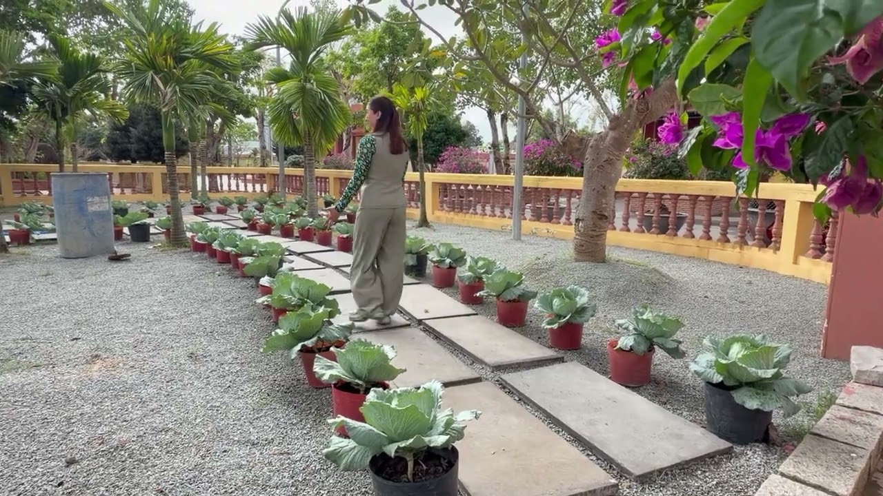 Lai đáo thiền viện trúc lâm An Giang 