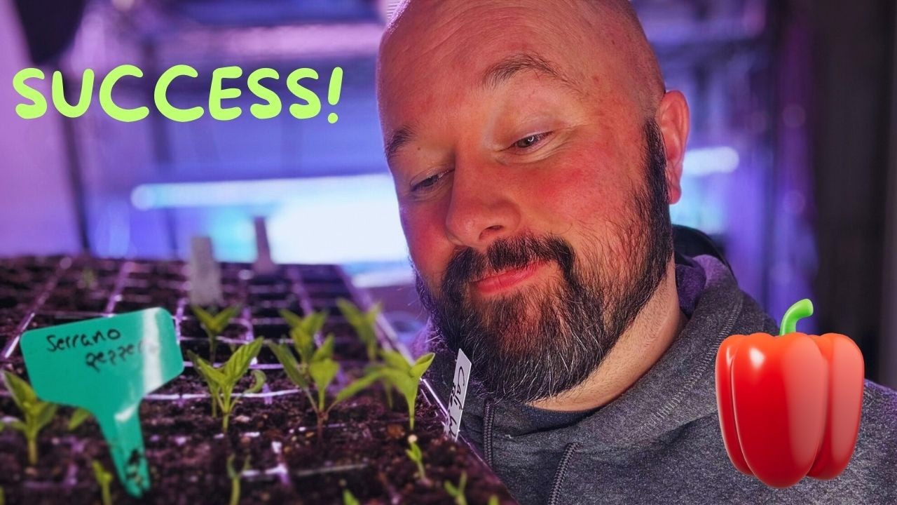 TIPS FOR STARTING PEPPERS