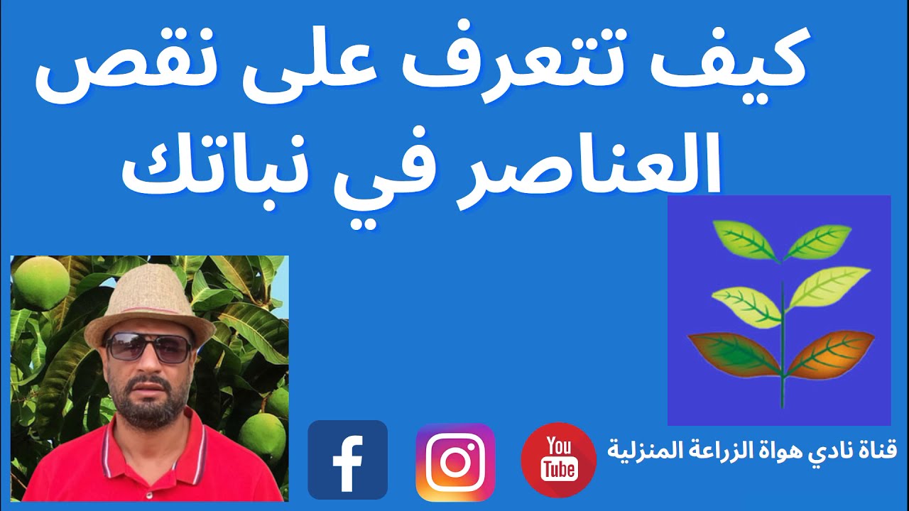 اسهل طريقة للمبتدئين للتعرف علي نقص العناصر في النبات