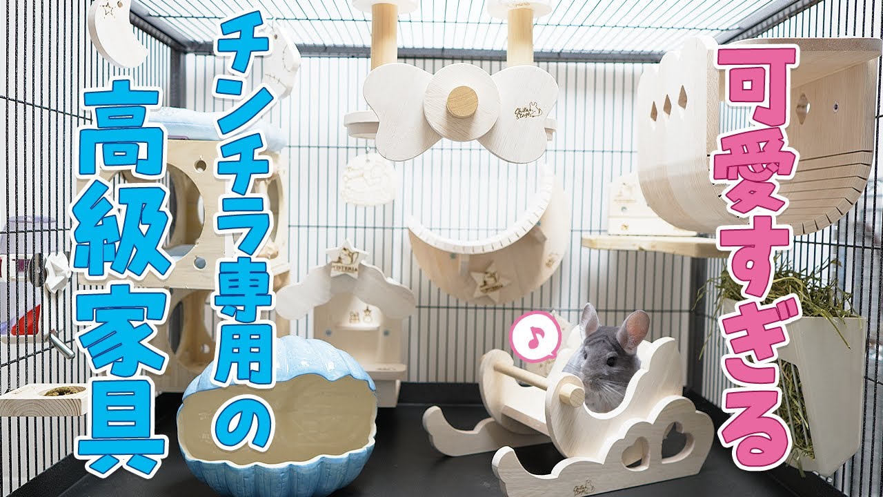 チラステージの商品でケージをレイアウトしたら宇宙一可愛くなった！