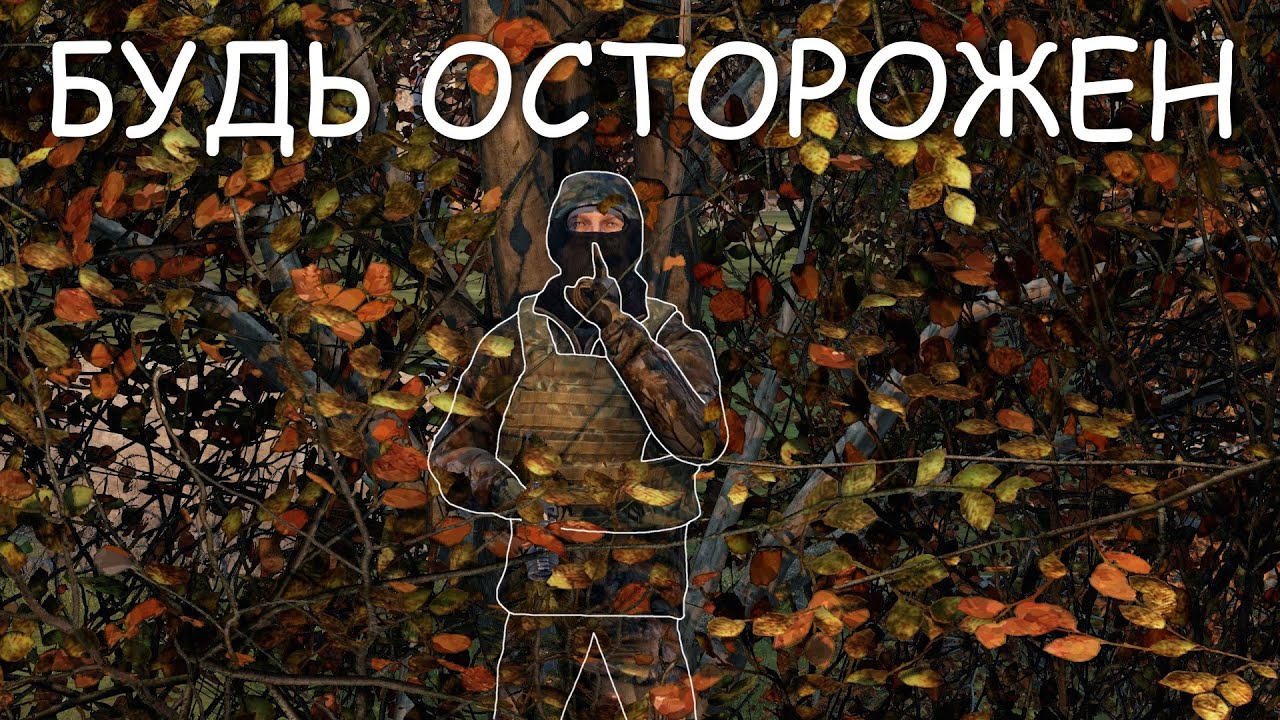 DayZ - Стань невидимым для противника, лучшие позиции на деревьях