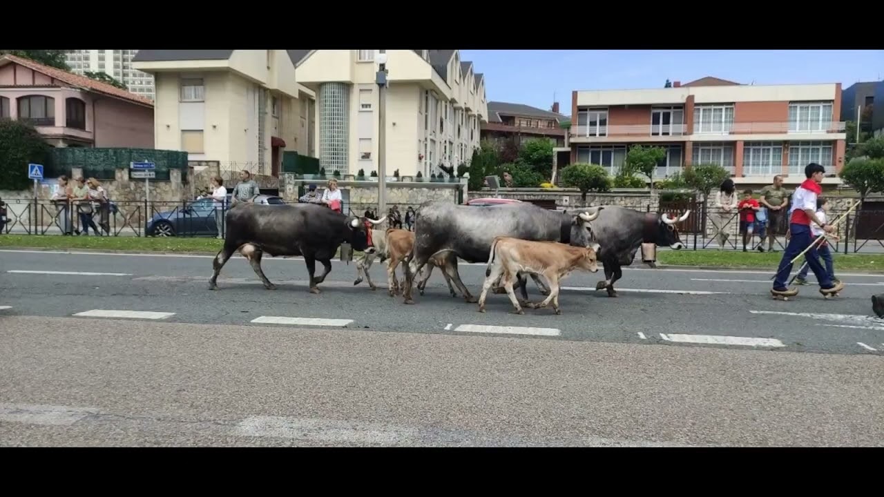  La pasa  de la Tudancas 7/6/2025 Santander Cantabria España 