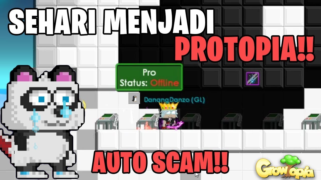 SATU HARI MENJADI SCAMMER!! EH PROTOPIA MAKSUDNYA