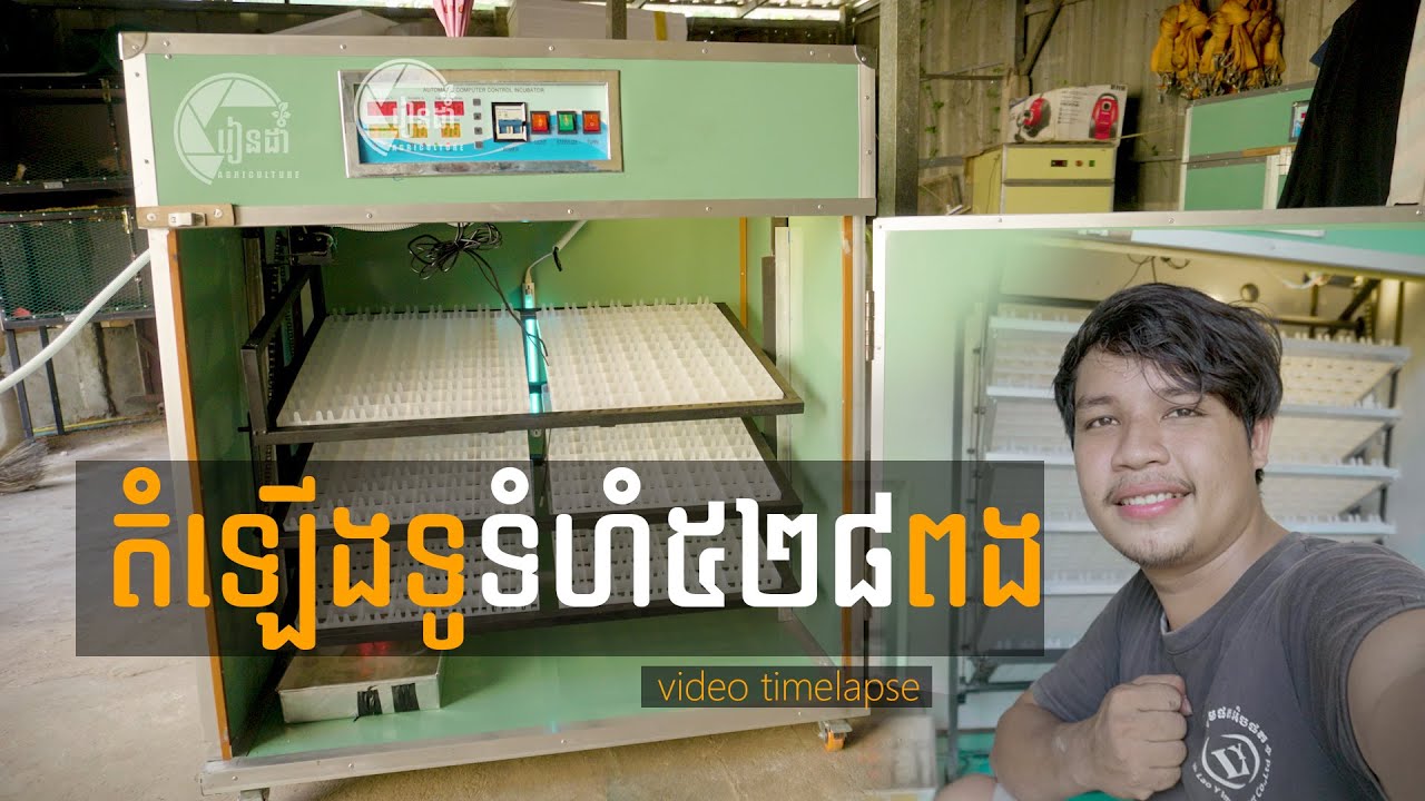 ការតំឡេីងទូភ្ញាស់ស៊ុតទំនេីបទំហំ៥២៨ពង/DIY Egg Incubator With Automatic Turner DIY