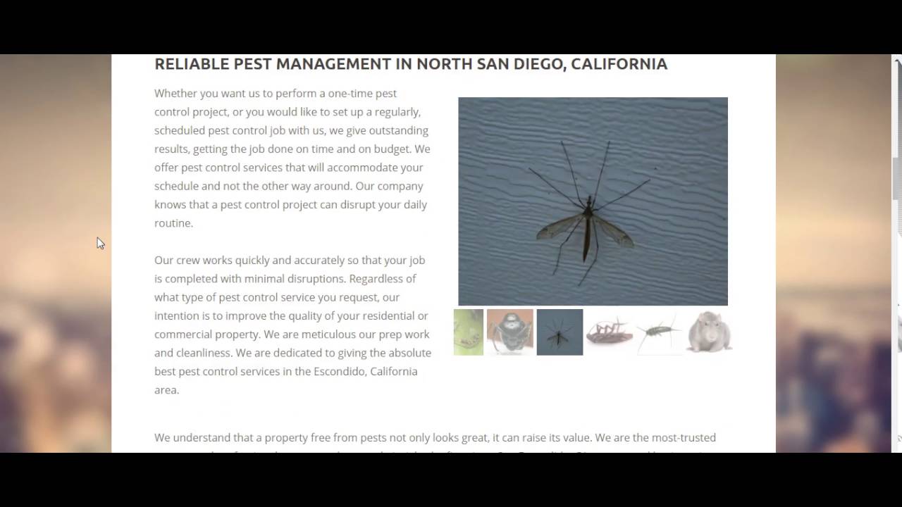 Pest Control Escondido