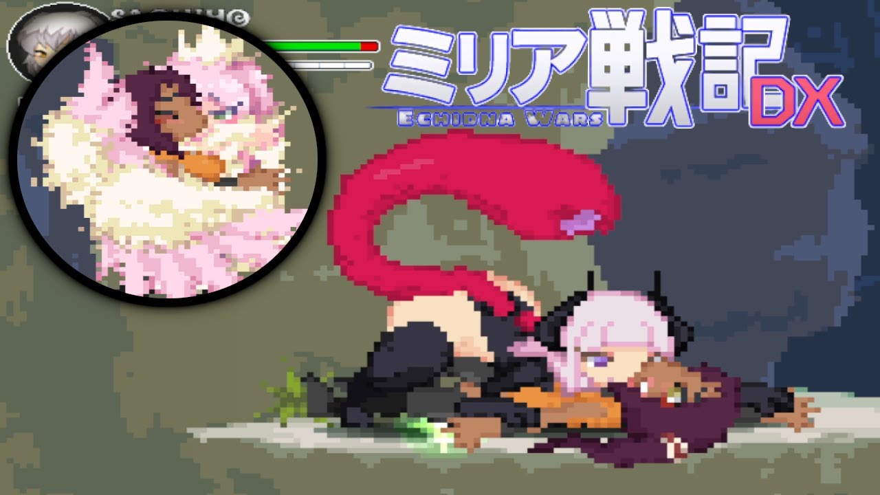 Echidna Wars DX Yoruichi Skin stage 3 gameplay