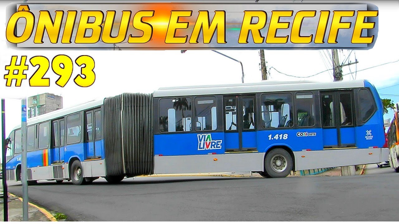 #293 Centro do Recife - Ponte Buarque de Macedo - Movimentação de ônibus