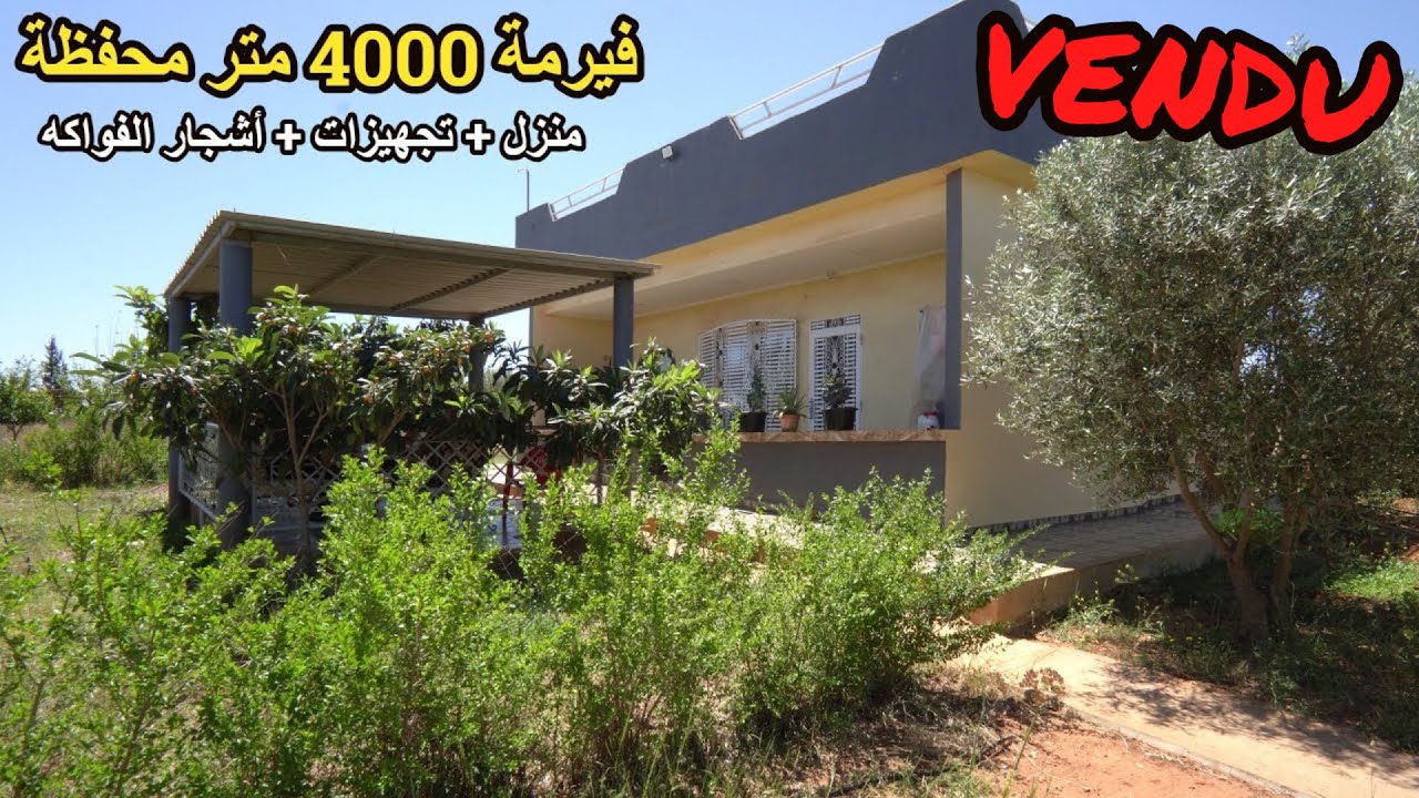 ✨ فيرمة صغيرة بالمنزل وجميع التجهيزات مليئة بكل انواع الاشجار والفواكه ✨ الخميسات