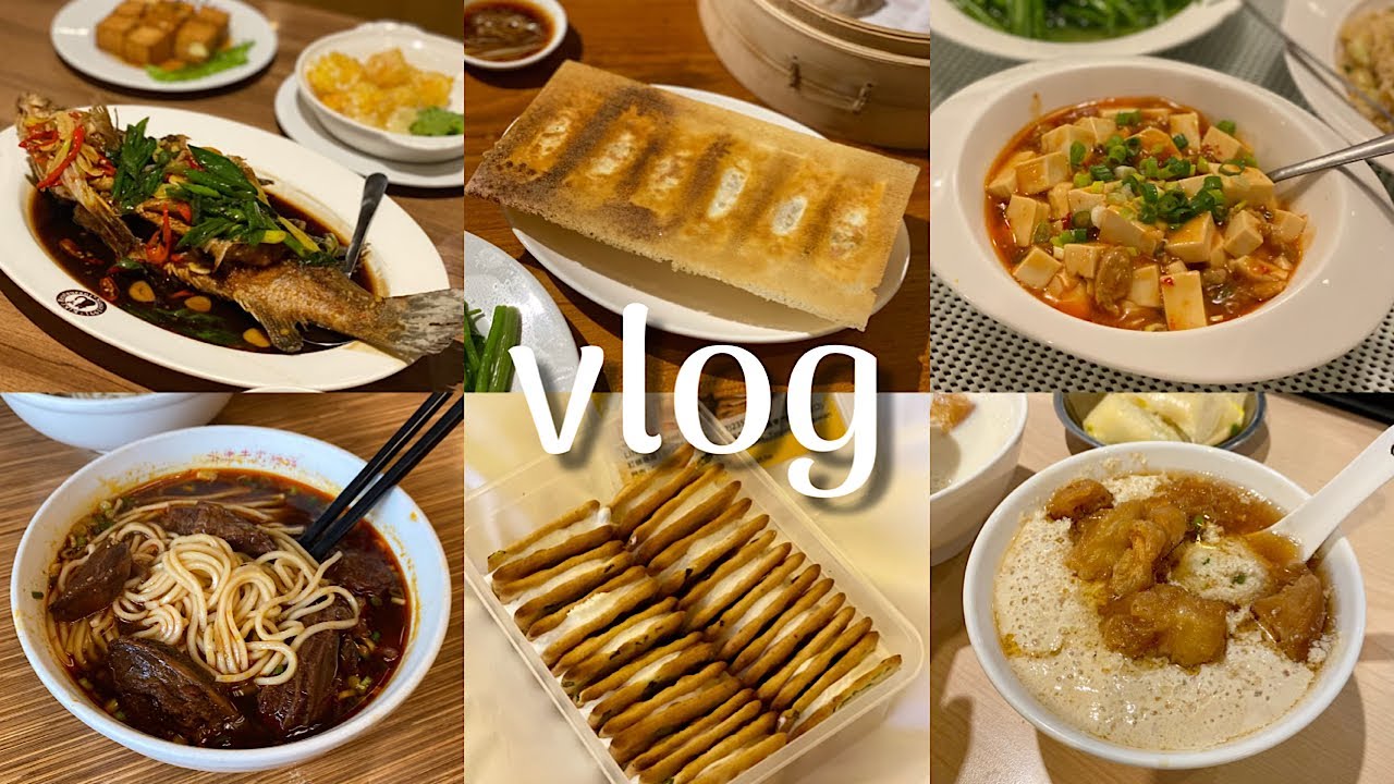 [🇹🇼여행vlog] 대만 여행 최신판, 무격리 시행일에 작정하고 먹으러 간 여행, 융캉우육면, 미미크래커, 키키레스토랑, 푸항또우장, 딘타이펑, 지우펀, 스린야시장