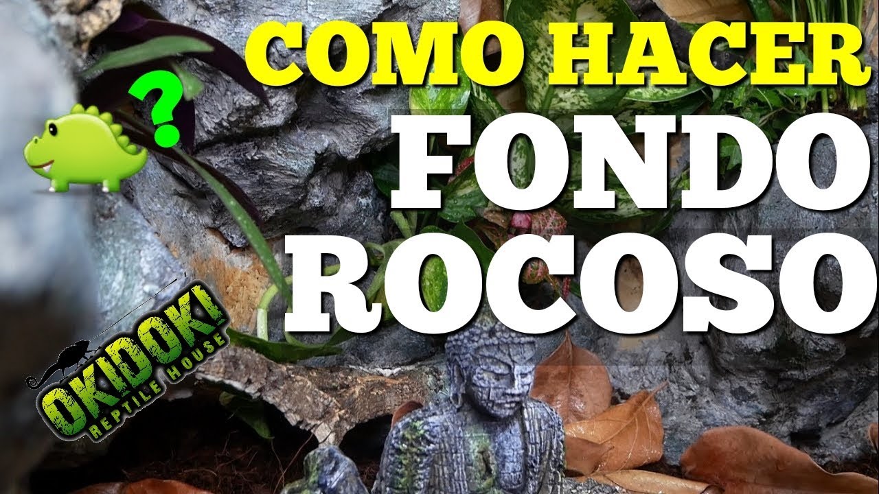COMO HACER FONDO ROCOSO para TERRARIO 🐊🔝⁉️ PASO A PASO