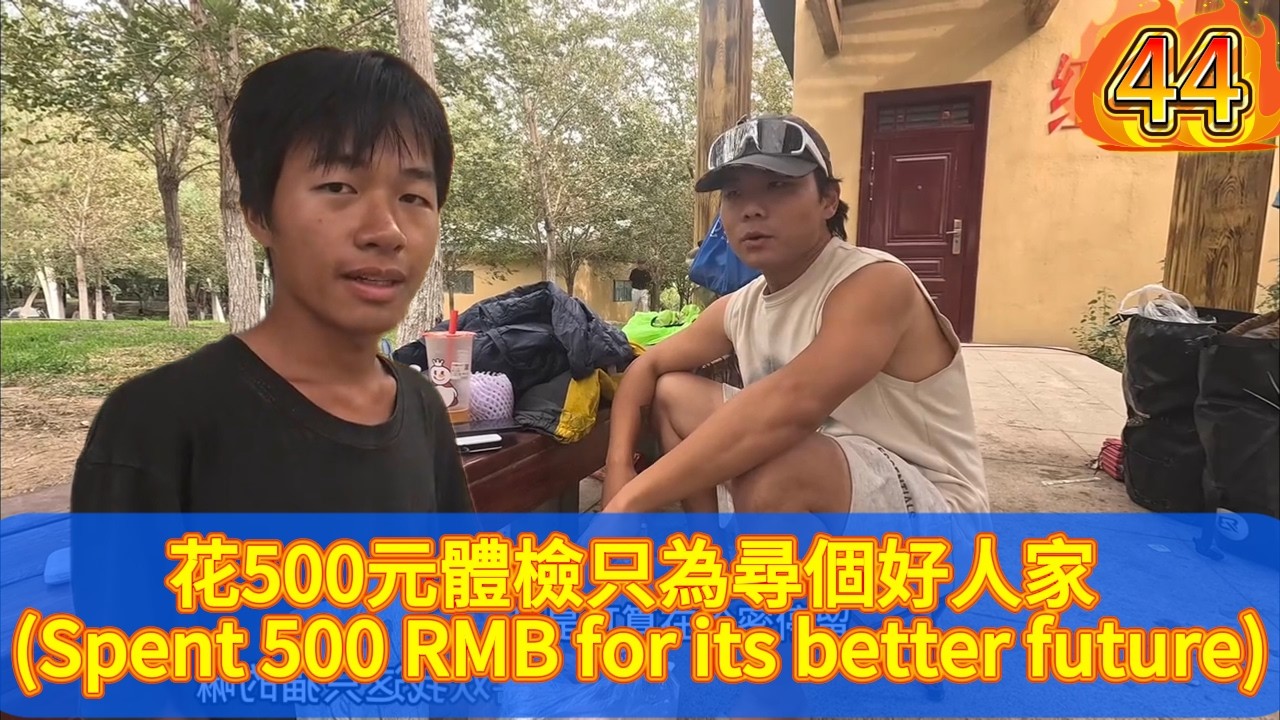 花500元做體檢卻狠心送人！把貓託付給18歲小夥，喝完苦瓜排骨湯揮手告別