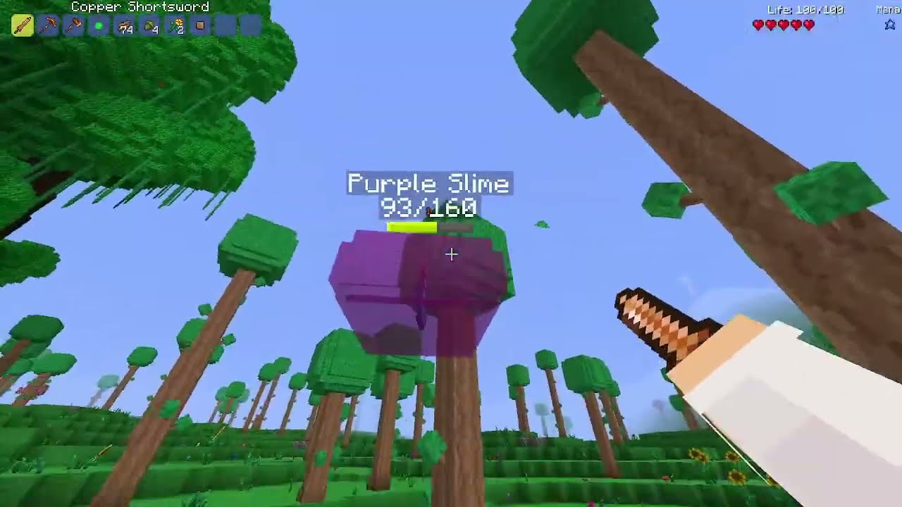 This Mod Turns Minecraft Into Terraria