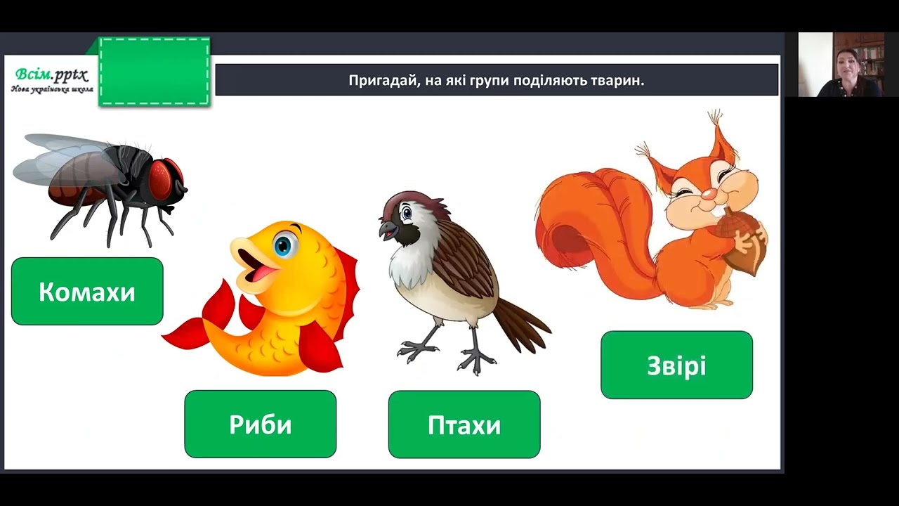 Я досліджую світ. 1 кл. Підбиваємо підсумки: ми досліджуємо світ!
