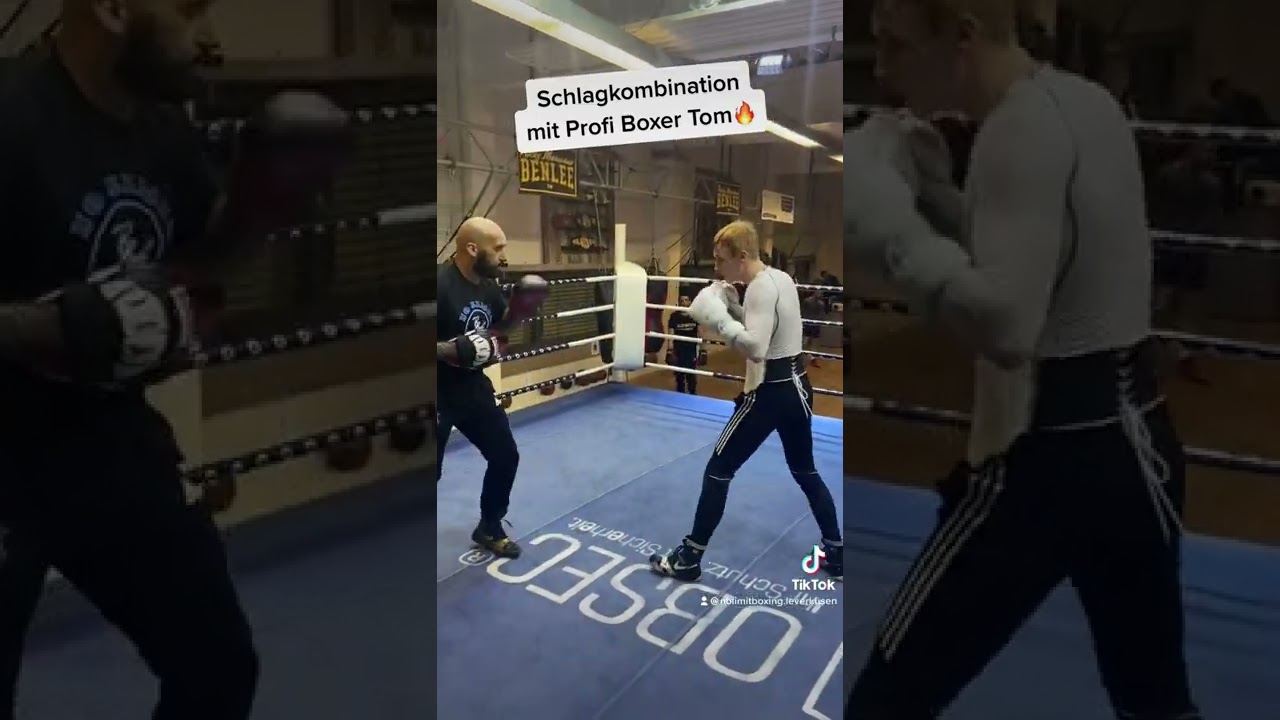 No Limit Boxing