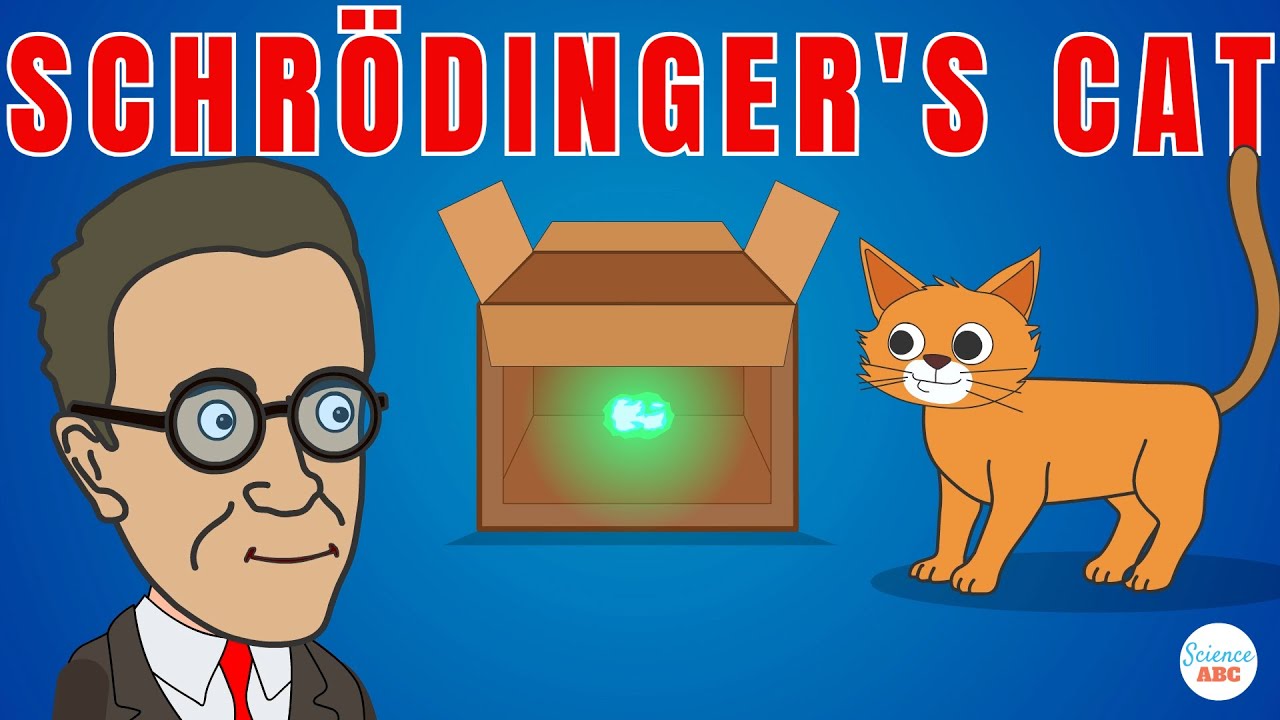 Schr&ouml;dinger's Cat Explained in Simple Words for Beginners