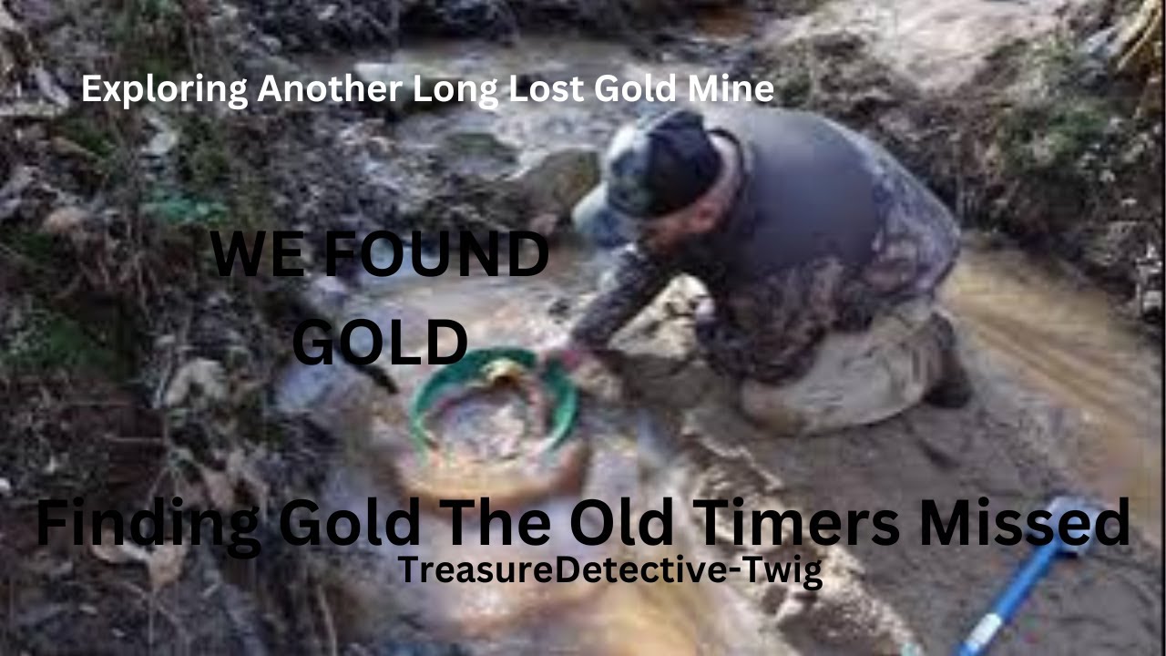 Finding Gold at old N.C. Gold Mine | Metal Detecting