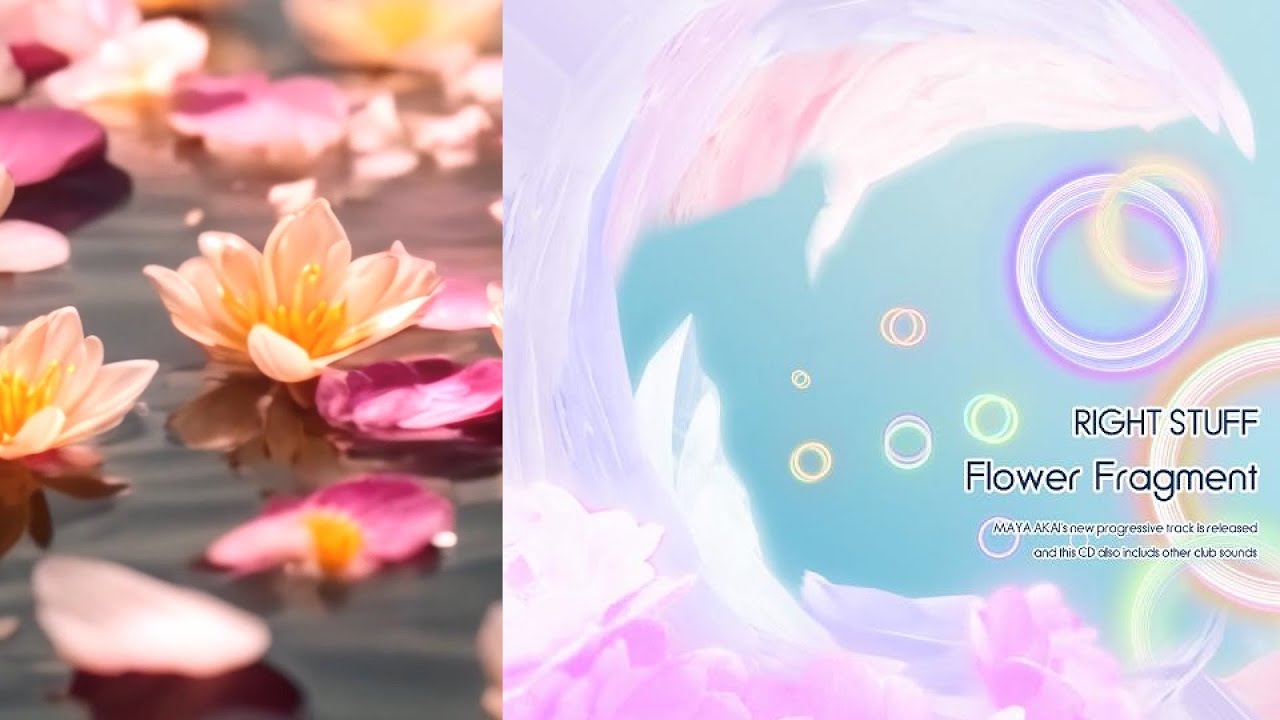 MAYA AKAI - Flower Fragment [Official]