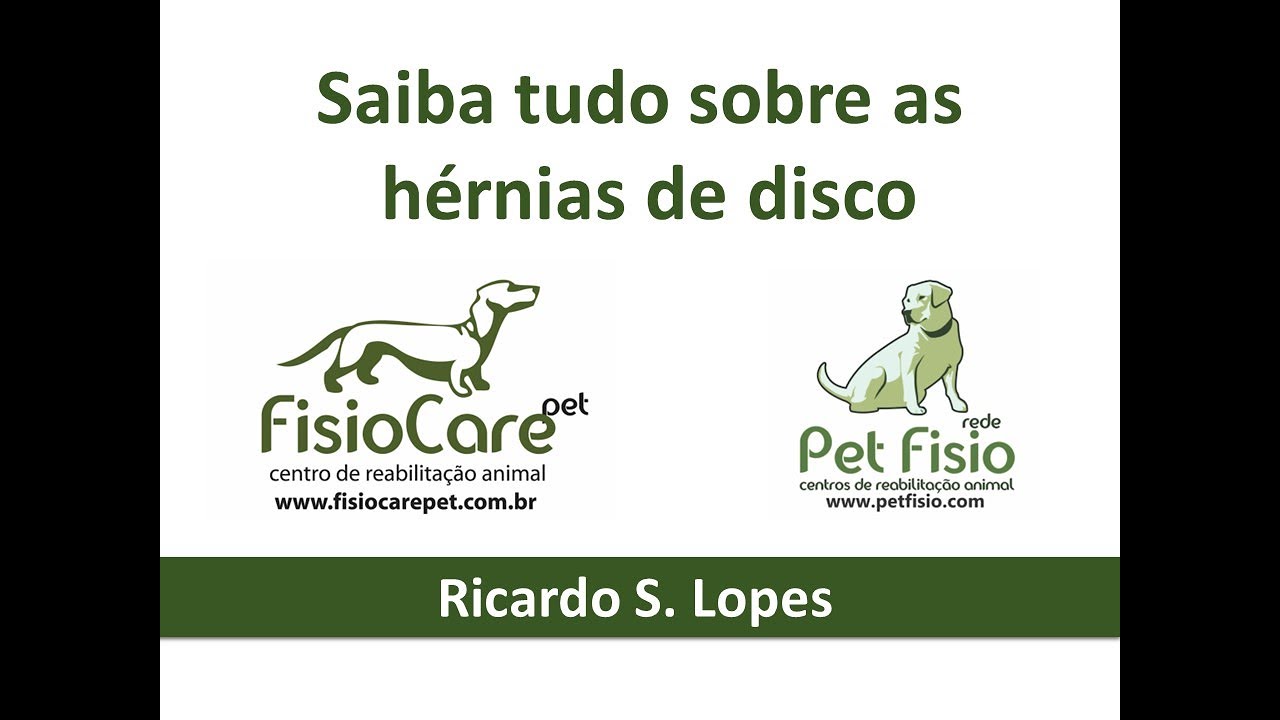 Hernia de disco em cachorro - aula para tutores: Quais os 5 tipos de DDIV e possíveis tratamentos