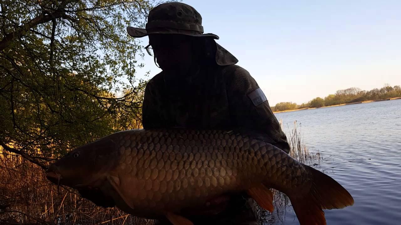 Karp 20+