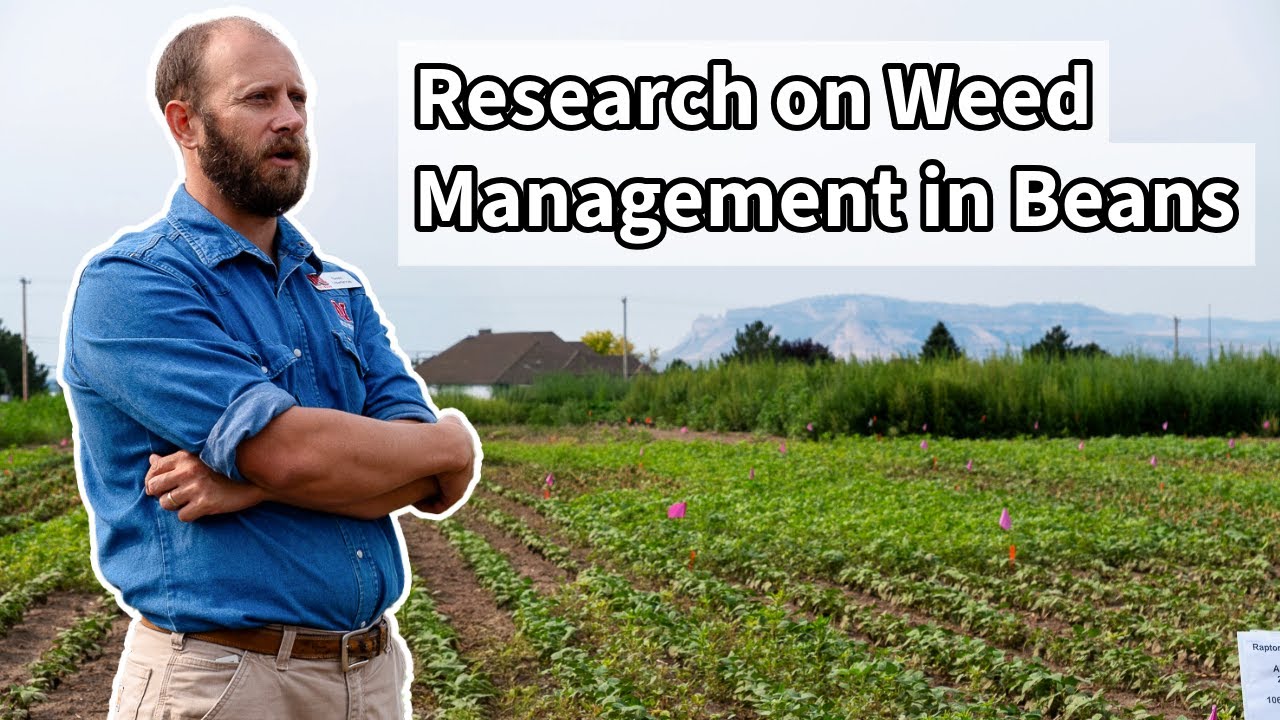 Interviewing a Weed Management Researcher in Nebraska - Dr. Nevin Lawrence on Palmer Amaranth & More