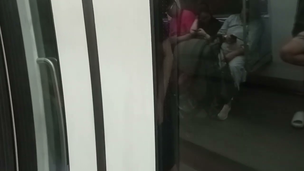 MRT North-East Line | Ride on C751A 7033/7034 | Hougang to Buangkok