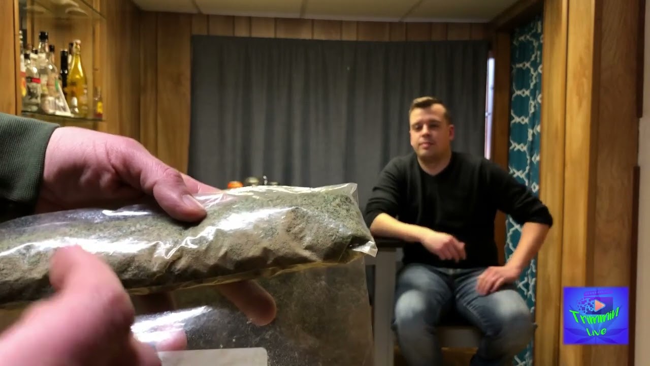 Trimmin Live - Kief collecting