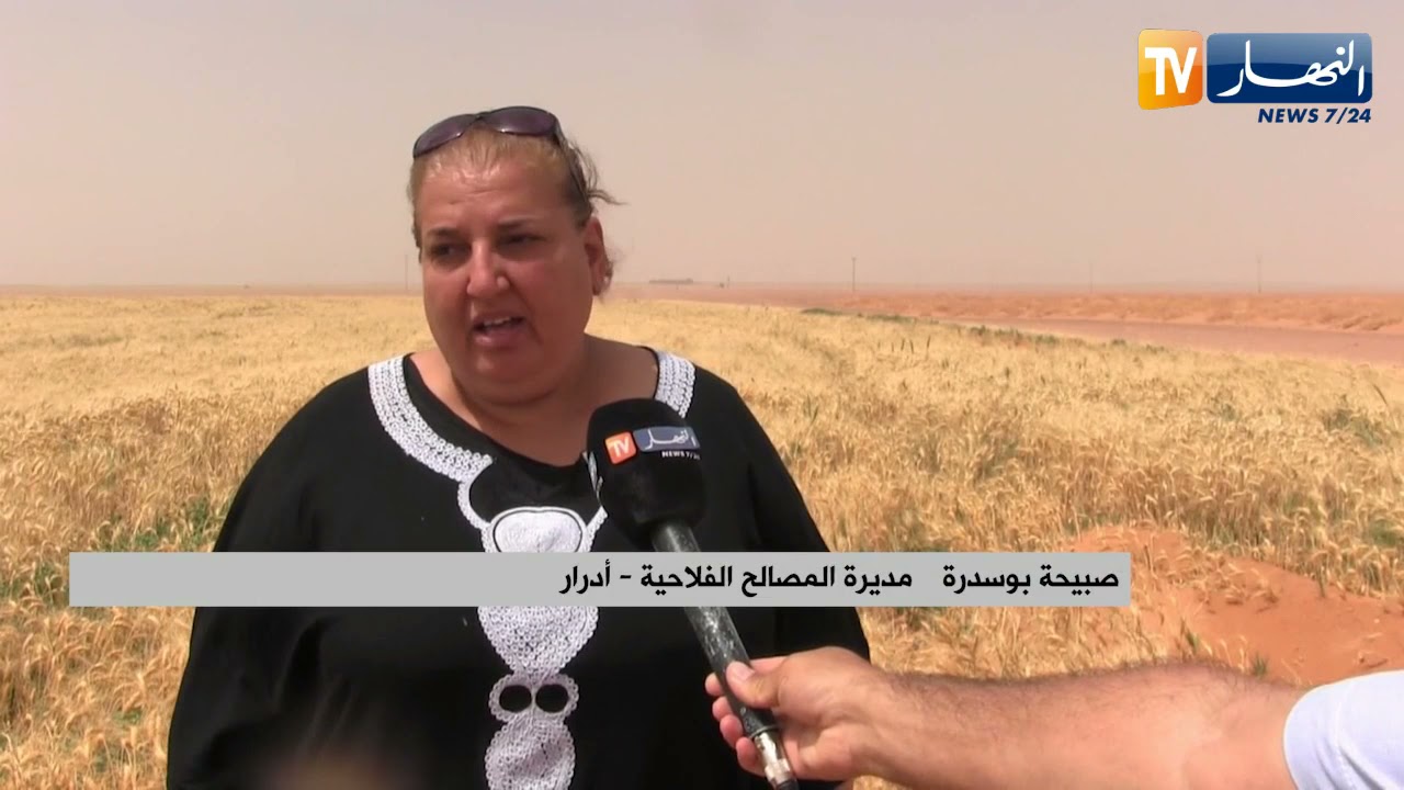 أدرار: إنطلاق حملة الحصاد وتوقعات إنتاج أزيد من 42 قنطار في الهكتار من القمح