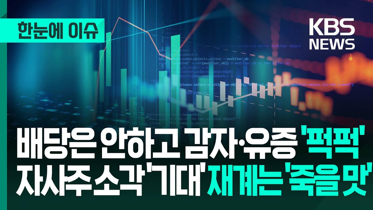 [한눈에 이슈] 배당은 안하고 감자&middot;유증 '퍽퍽', 자사주 소각 '기대' 재계는 '죽을 맛' / KBS 2025.11.28.