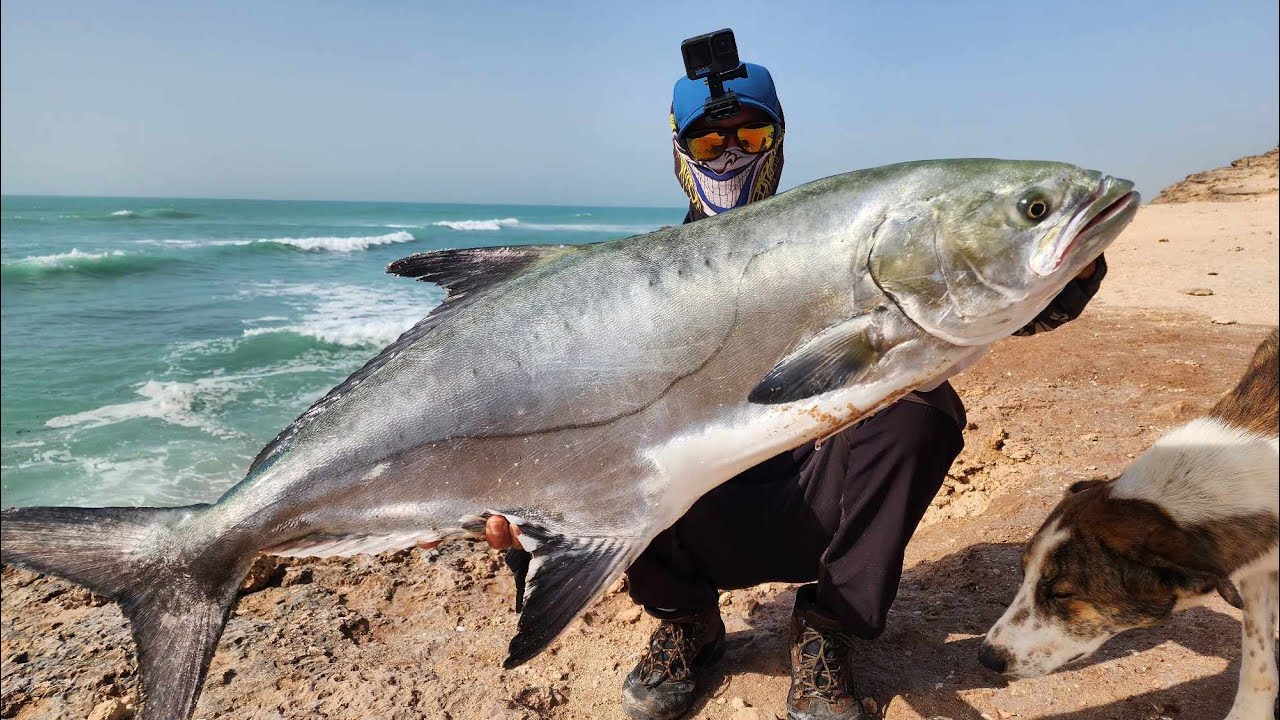 رحلة صيد العنيدة في بارباص محبوبة الرياس أقصى جنوب المغرب