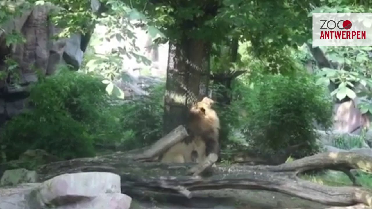 #ZOOsamen