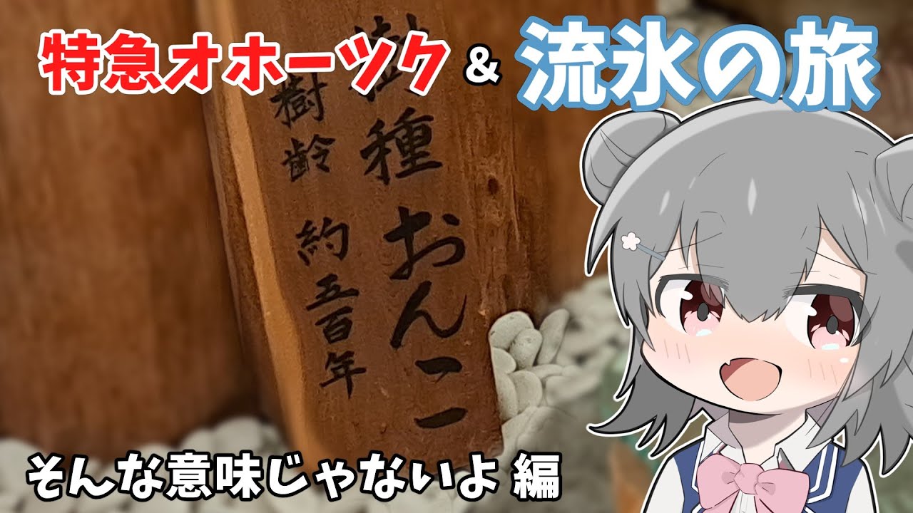 【海の日】こんな暑い日だからこそ流氷を見よう！ オホーツク流氷の旅 #3【VOICEROID/CeVIO旅行】