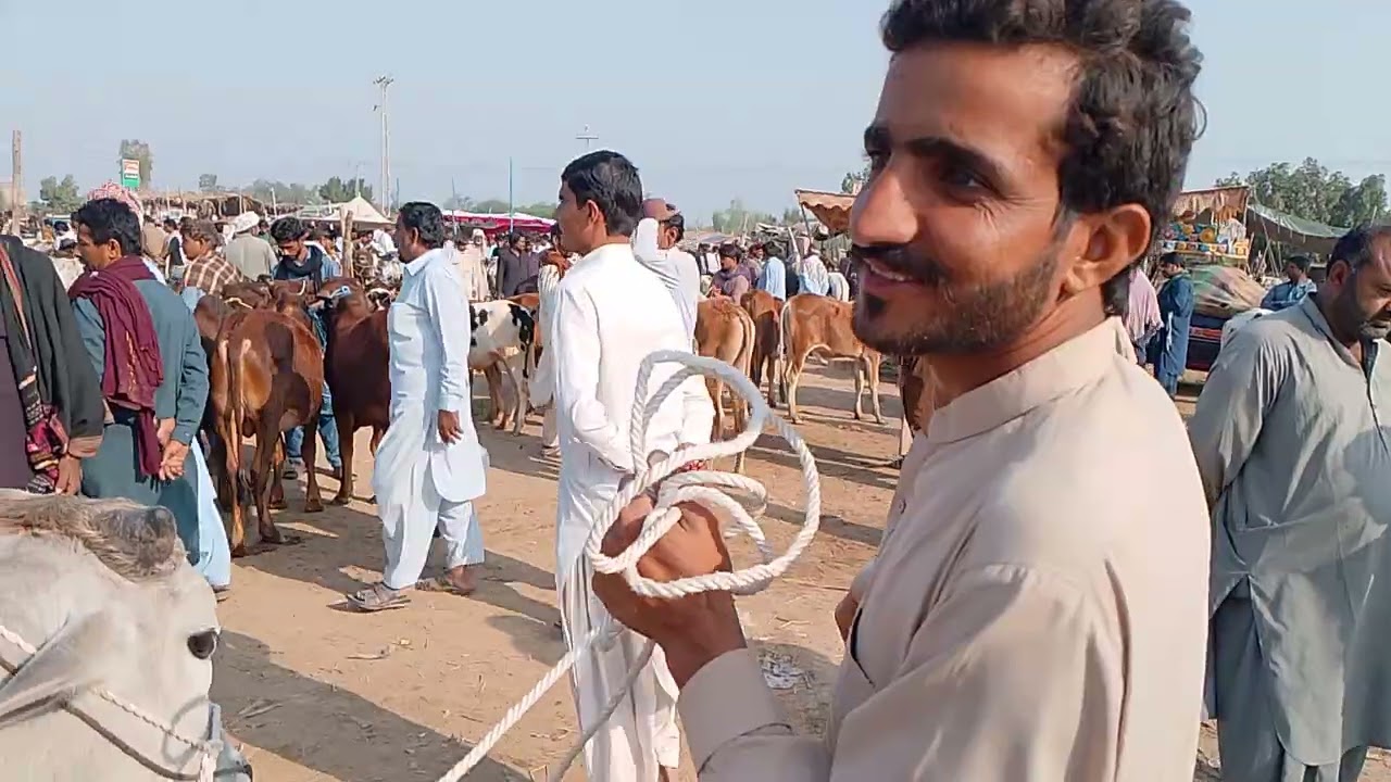 17/2/2026 daur ki maveshi mundi sasti ho gai taza tareen maveshi mundi updates 