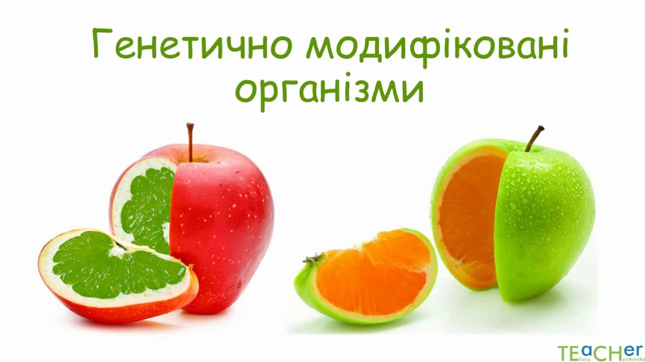 Генетично модифіковані організми