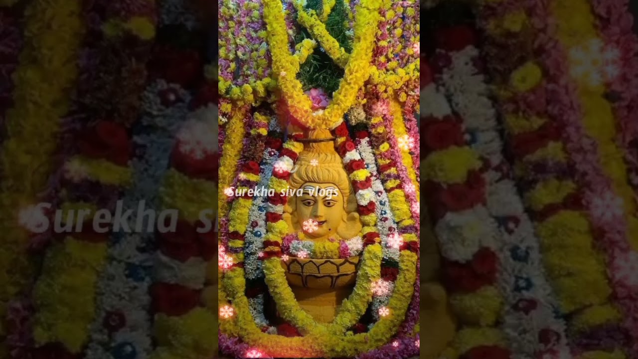 #shorts Om namah shivaya 🙏🏻🍀🥥🍌🍎🌺 #shots #youtubeshorts #shiv #viral #shiva #surekhasivavlogs